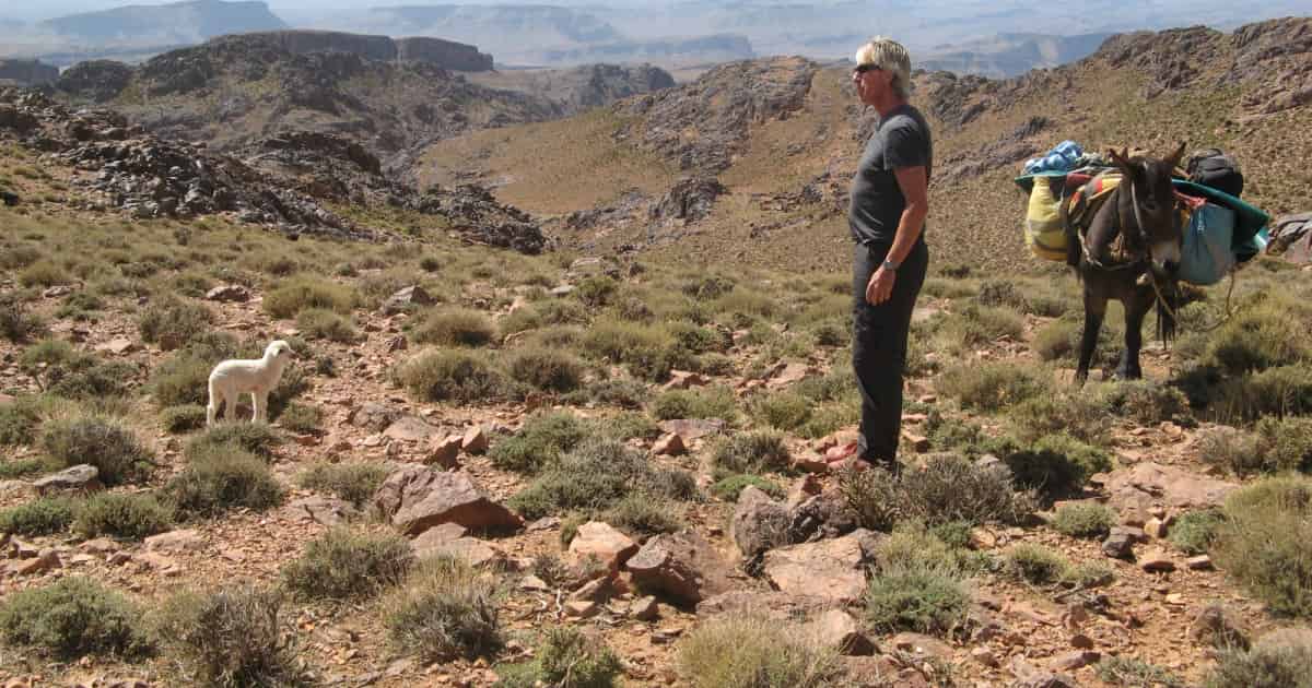 Hiking Morocco with A Donkey