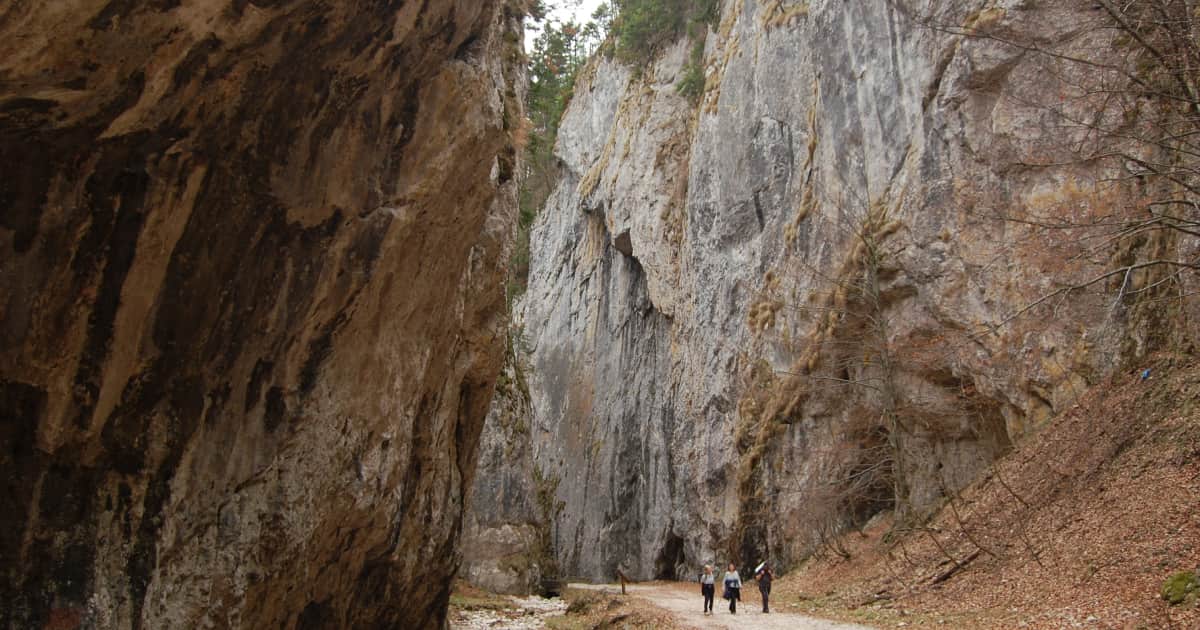 walking through a canyon trail