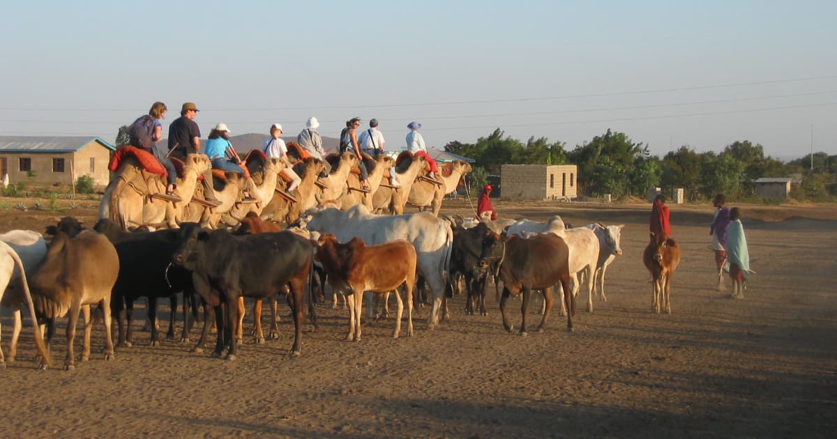 Camel riding through Moroccan village