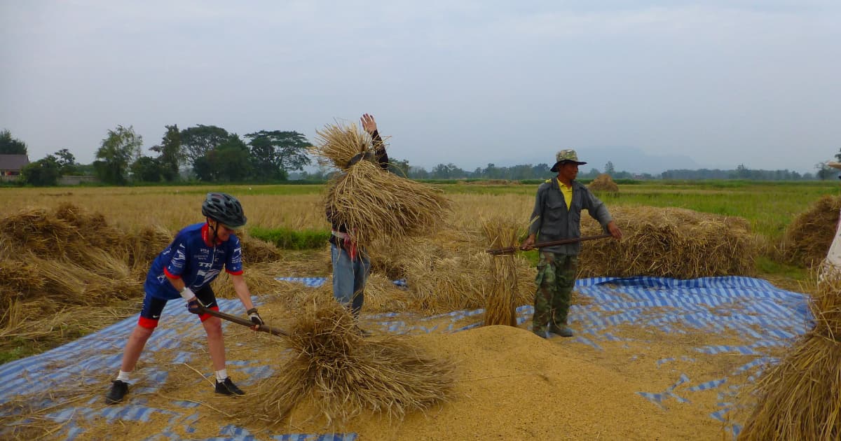 Tourist helping to turn hay in a small village