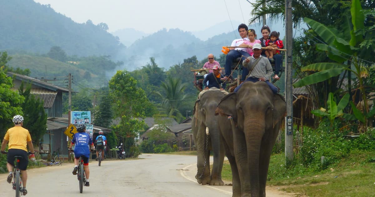 Group cycling passed 2 elephants in Thailand