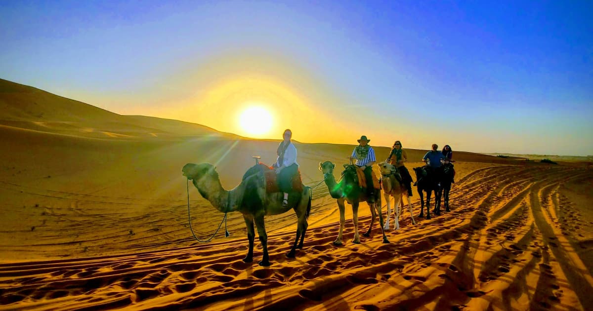 Group riding camels in Morocco