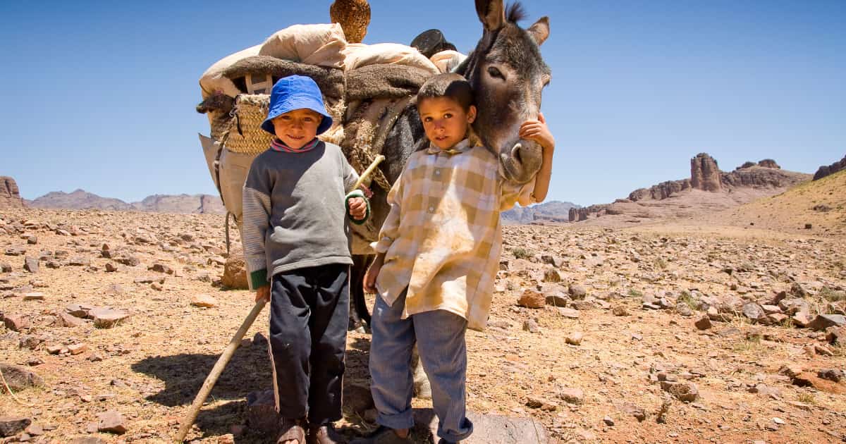 Children holding a donkey in Morocco