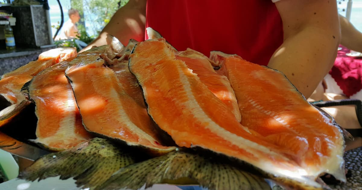 a plate of fresh seafood