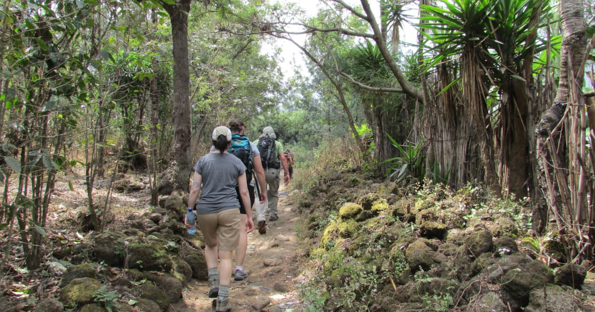 hiking through rainforest