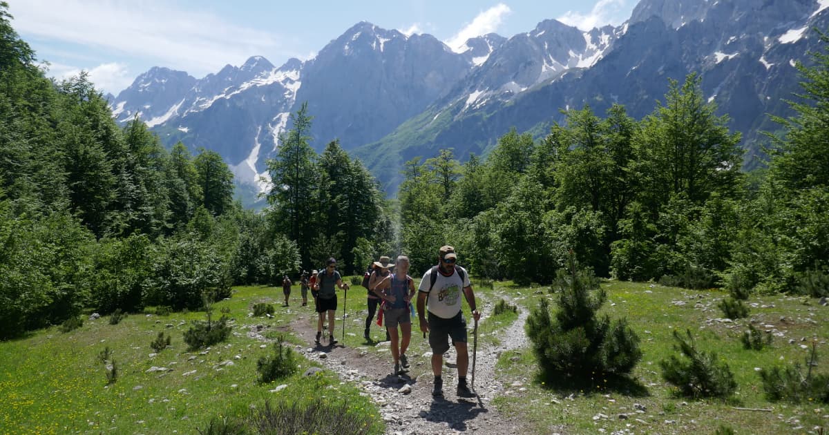 A group of hikers walking up a steep trail using hiking poles