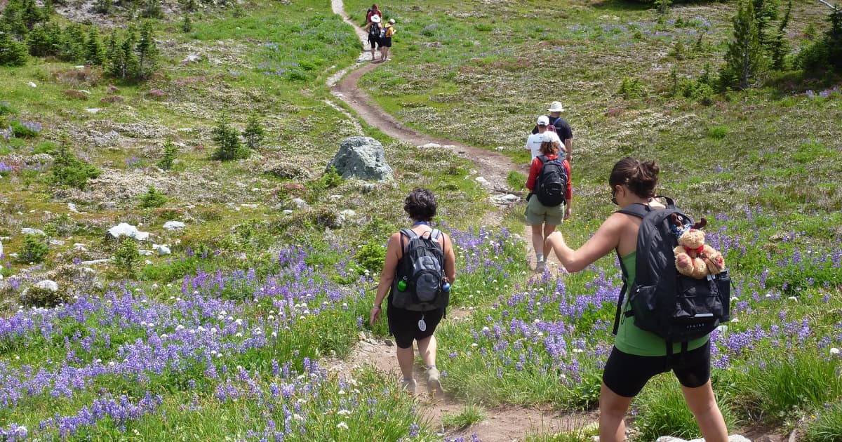 Groups of hikers walking down a steep incline on a hill