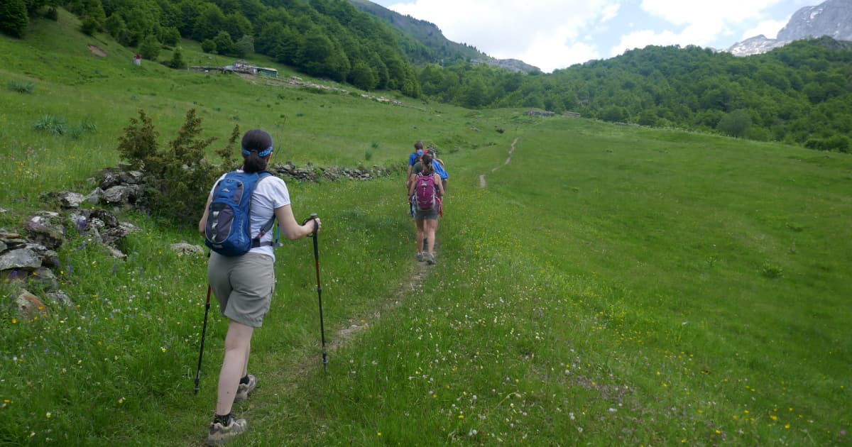 a group of travelers hiking a scenic trail