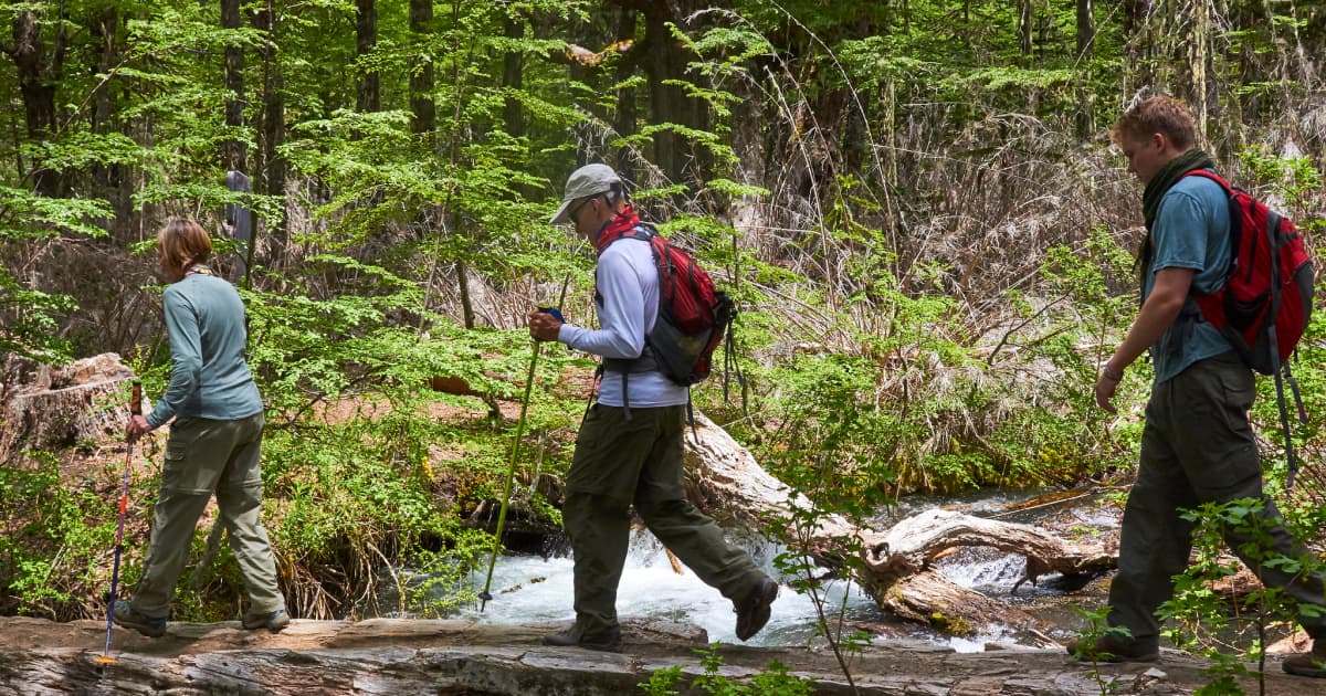 hikers crossing a stream using rocks as a trail