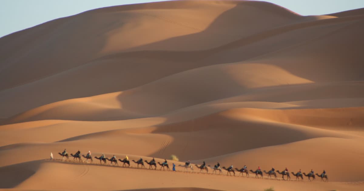 Groups of travelers riding camels through the Sahara desert