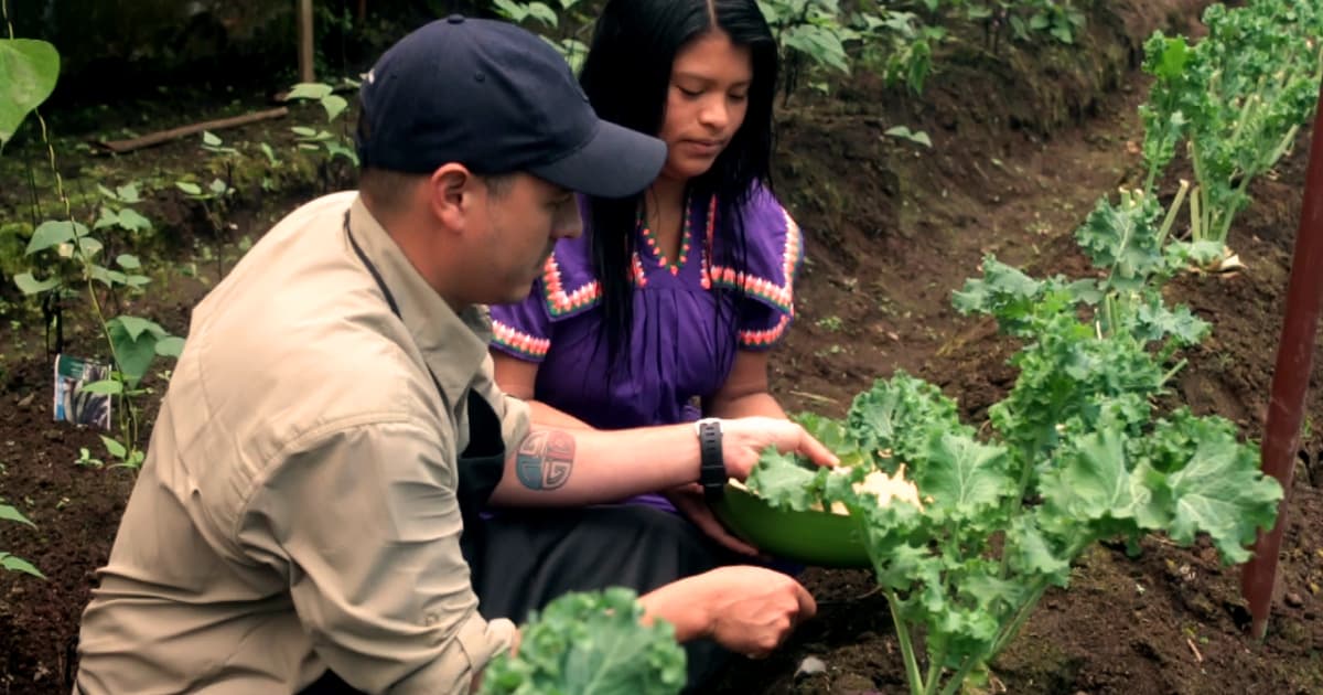 farmers tending to plants