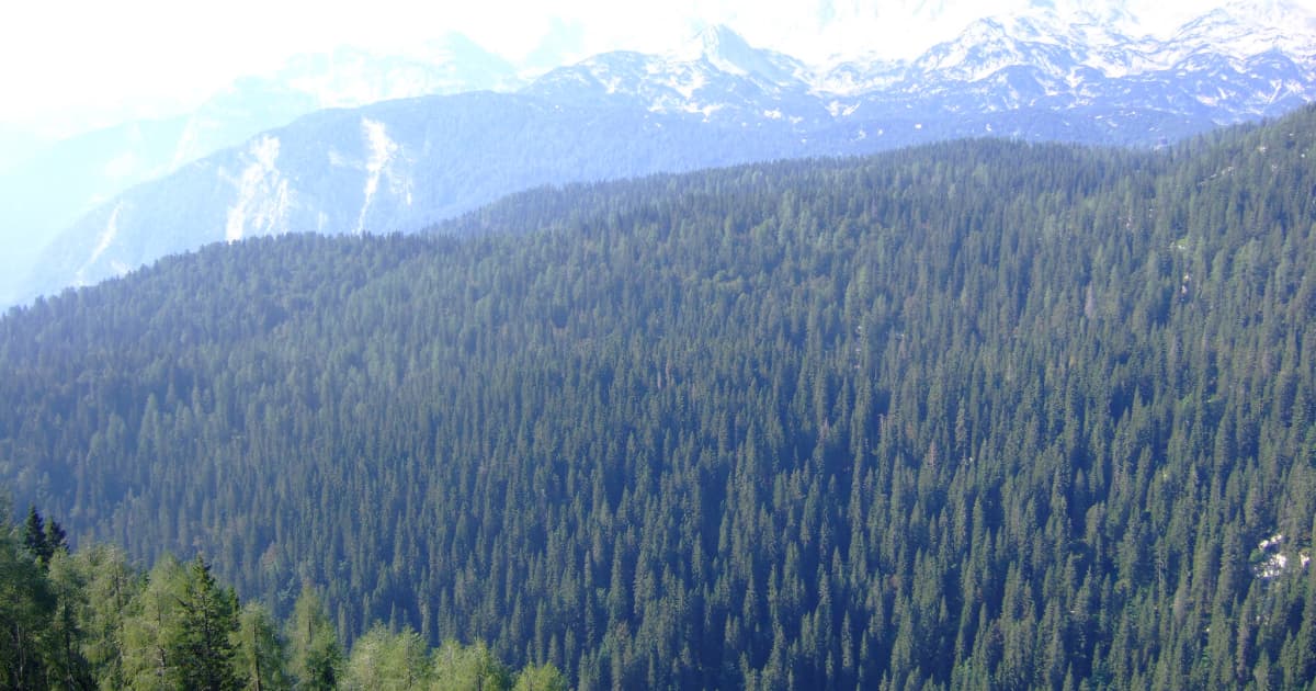 Julian alps in Slovenia