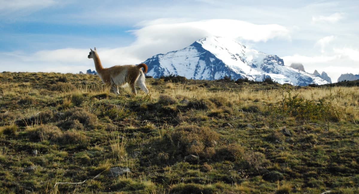 Chile snow capped mountains