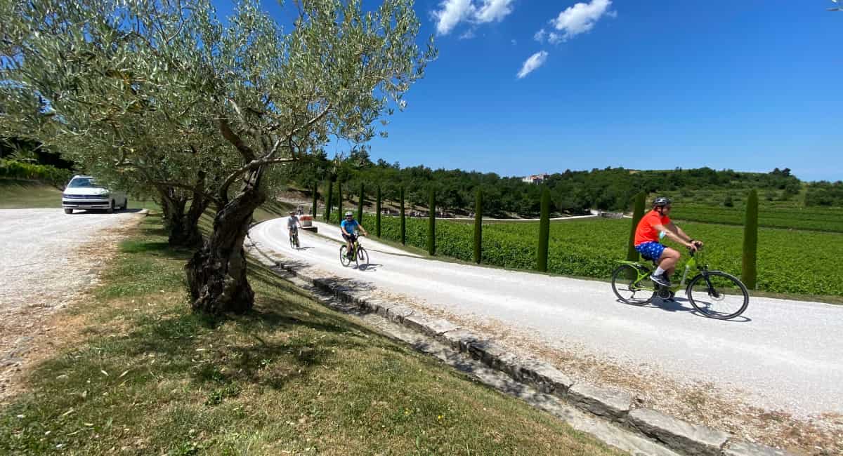 Small group on e-bike trip