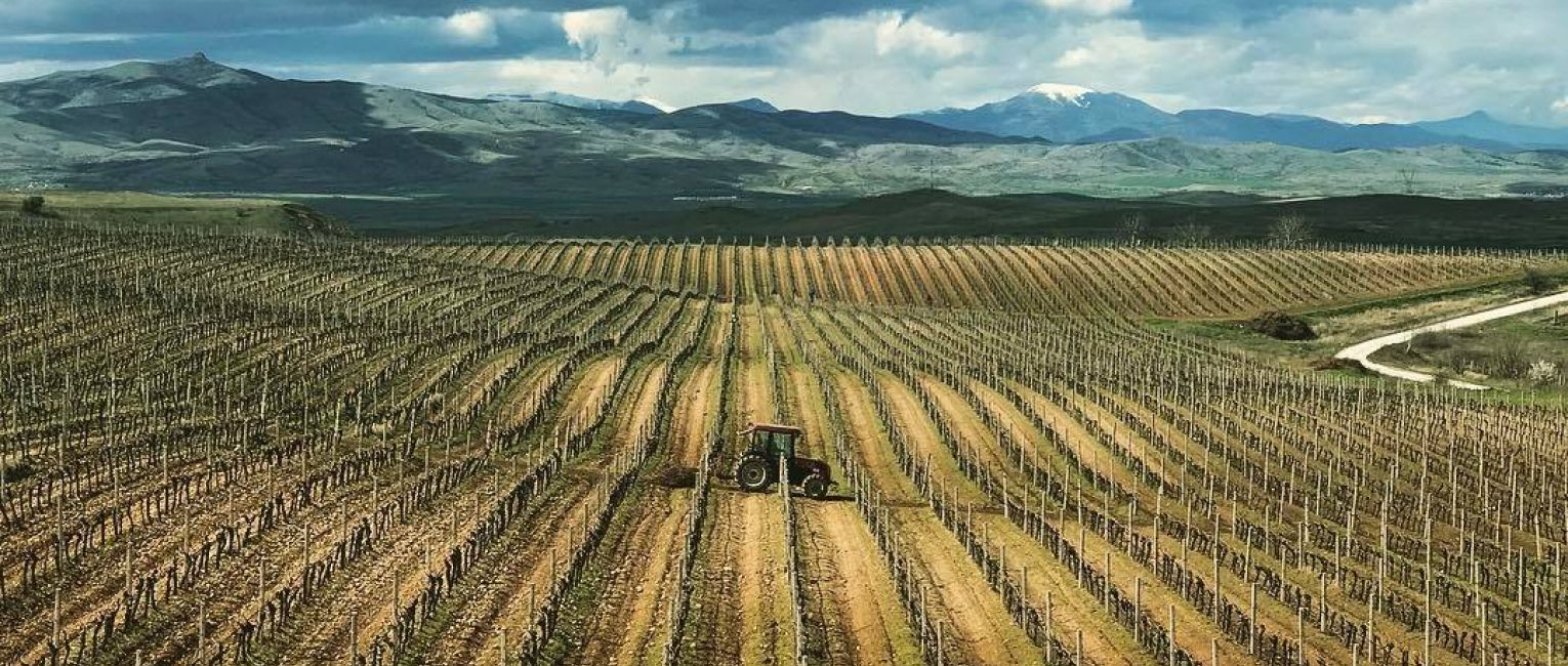 farm to table foodie travel macedonia tikvesh