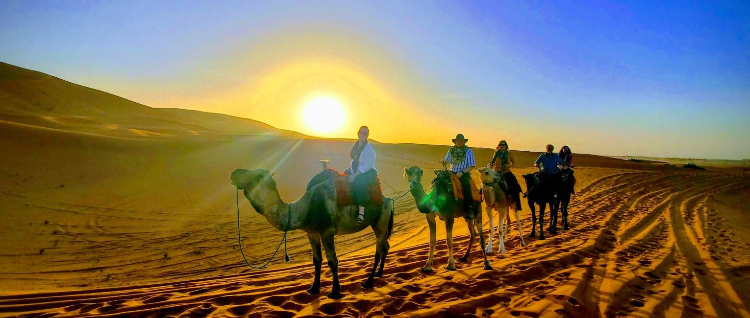 Camel riding through the Sahara desert at sunset