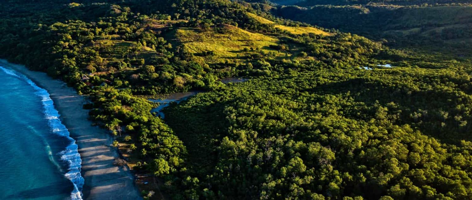 forest by body of water and beach in Costa Rica