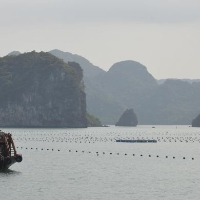 Halong Bay Junk Boat Accommodation Scenery