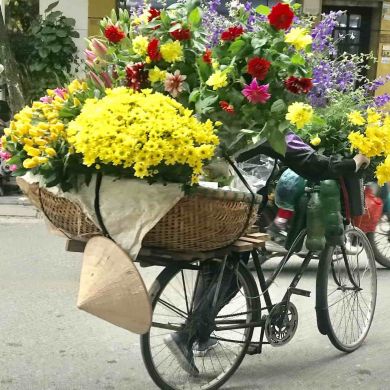 Hanoi Street Vendor Vietnam