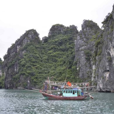 Vietnam Halong Bay Scenery Junk Boat