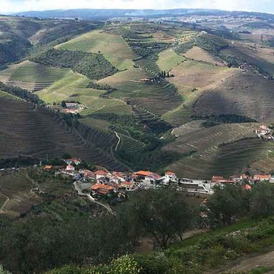 Northern Portugal Wine Region Biking and Hiking Tours