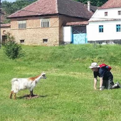 Guided Hiking Tours Transylvania Romania