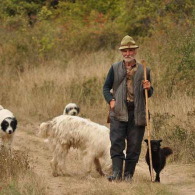 Adventure Travel Vacations Romania Local Shepherd