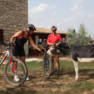 Biking Trips Bosnia