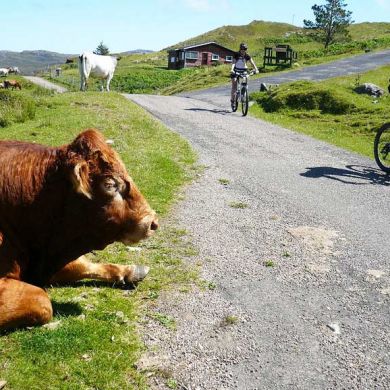 Mountain Biking Tours and Trips Scotland