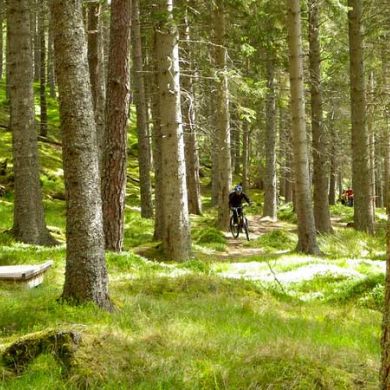 Biking Scottish Highlands and Moors