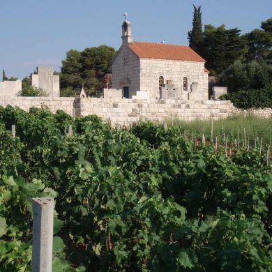 Wine and Bike Tours Croatia