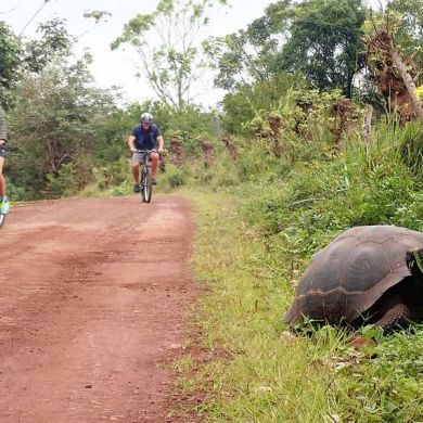 Biking Trips Galapagos Islands