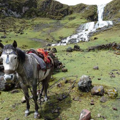 Scenery Lares Trail Peru