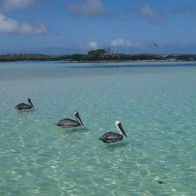 Active Trips Galapagos Islands Ecuador