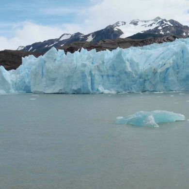 Grey Glacier Boat Tours Icebergs