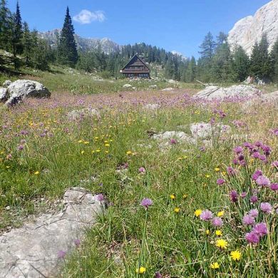 Hiking Trips Slovenian Alps