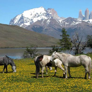 Hiking Vacations and Tours Chile Patagonia