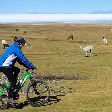 Best Biking Tours Salt Flats Bolivia