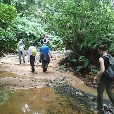 Guided Amazon Tours Bolivia