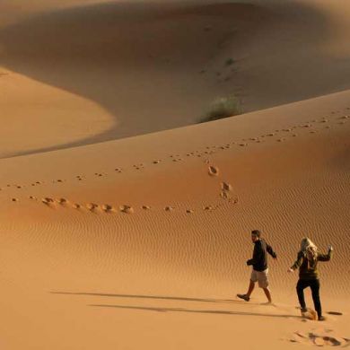 Sahara Desert Morocco