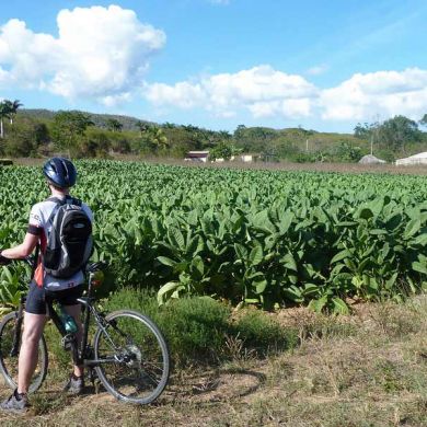 Biking Trips Cuba