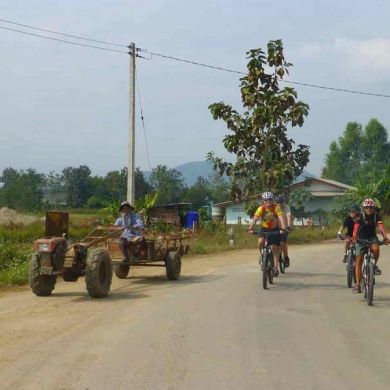Cambodia Siem Reap Biking Tours Adventure Travel 