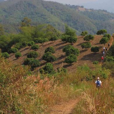 Thailand Hiking Trails Trekking Mountains