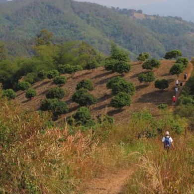 Thailand Hiking Trails Trekking Mountains
