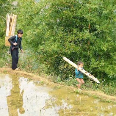 Hiking in Rice Paddies Thailand with Locals Culture