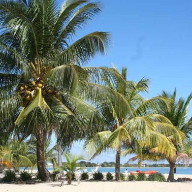 Beach Vacations Belize Placencia