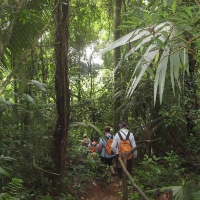 Belize Jungle Hiking Tours and Vacations