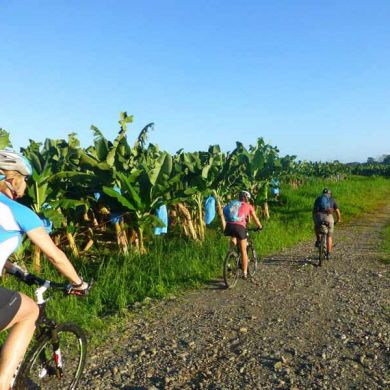 Cycle Tour Costa Rica Banana Planatations