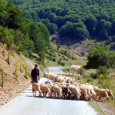 North Macedonia Scenery