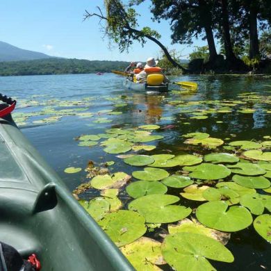 Kayaking Tours Lake Nicaragua Mangroves